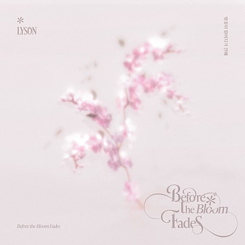 벚꽃이 떨어지기 전에