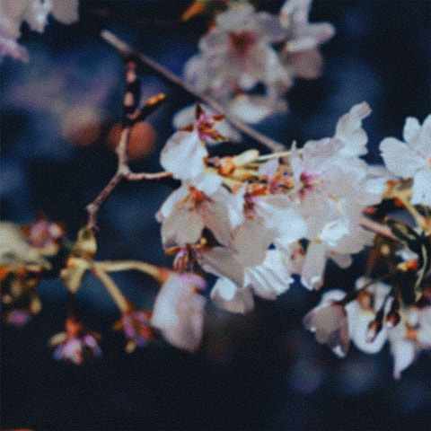 그네, 초이(CHOI)