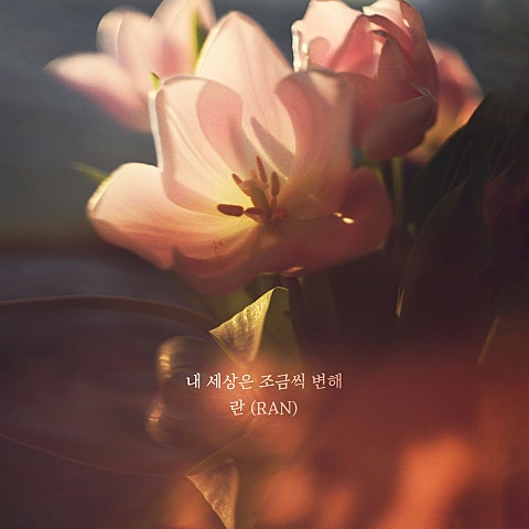 내 세상은 조금씩 변해