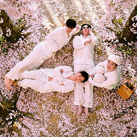 1인칭 벚꽃 시점