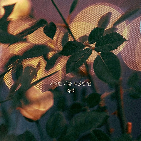 어쩌면 너를 보냈던 날