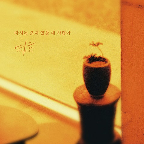 다시는 오지 않을 내 사람아