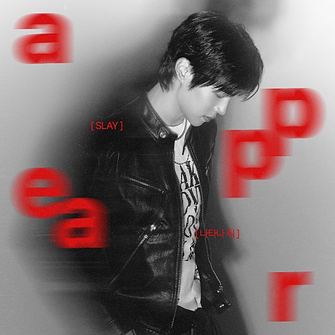 SLAY(슬레이)