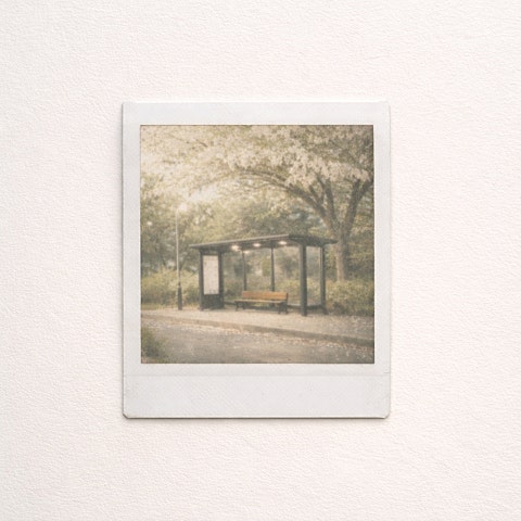 새봄(Saevom)