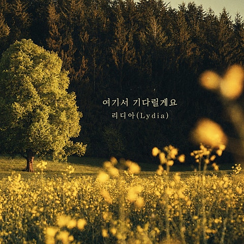 여기서 기다릴게요