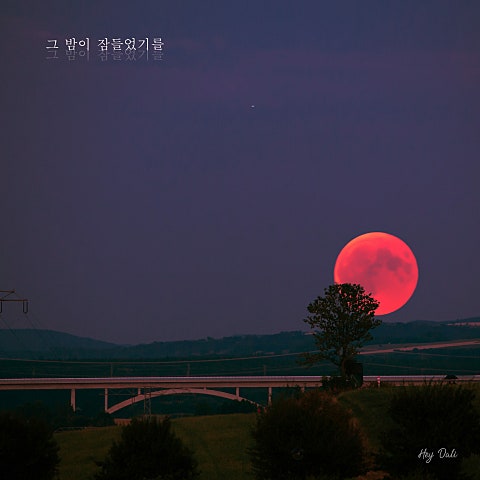 그 밤이 잠들었기를