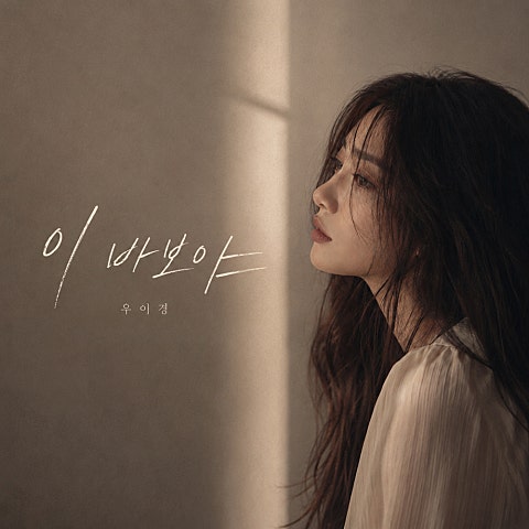 우이경 이 바보야 자켓