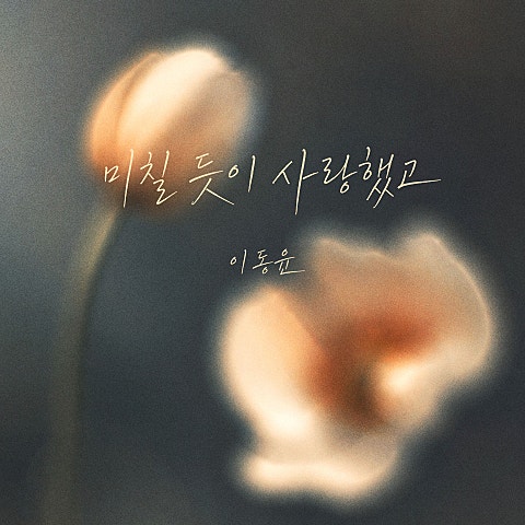 미칠 듯이 사랑했고