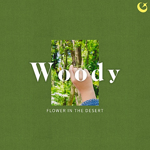 우디 (Woody) Flower in the desert 자켓