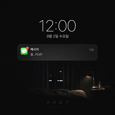 미리보기