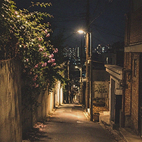 데리러 와준 그 밤이 내게는